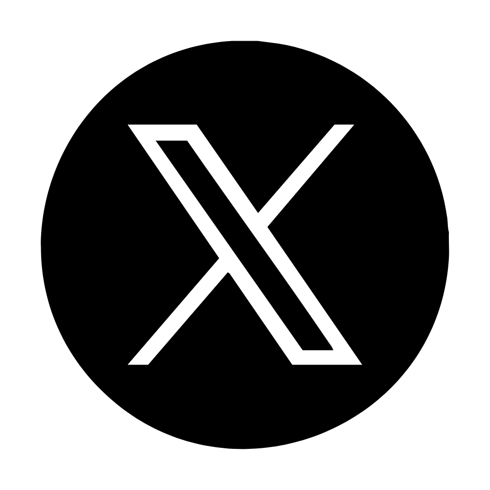 x icon